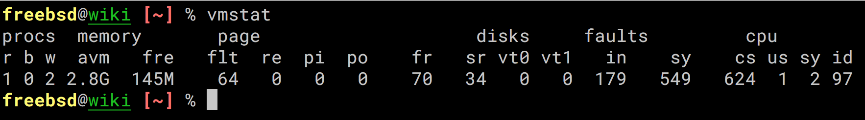 vmstat_command_freebsd.png